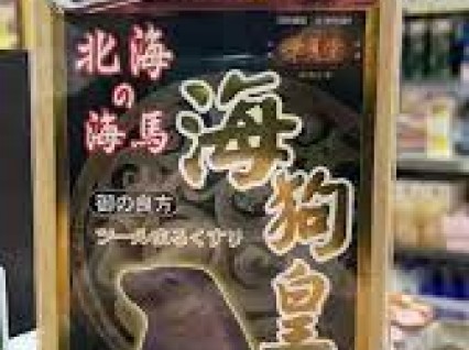 華夏堂海狗丸300S第二代日本版